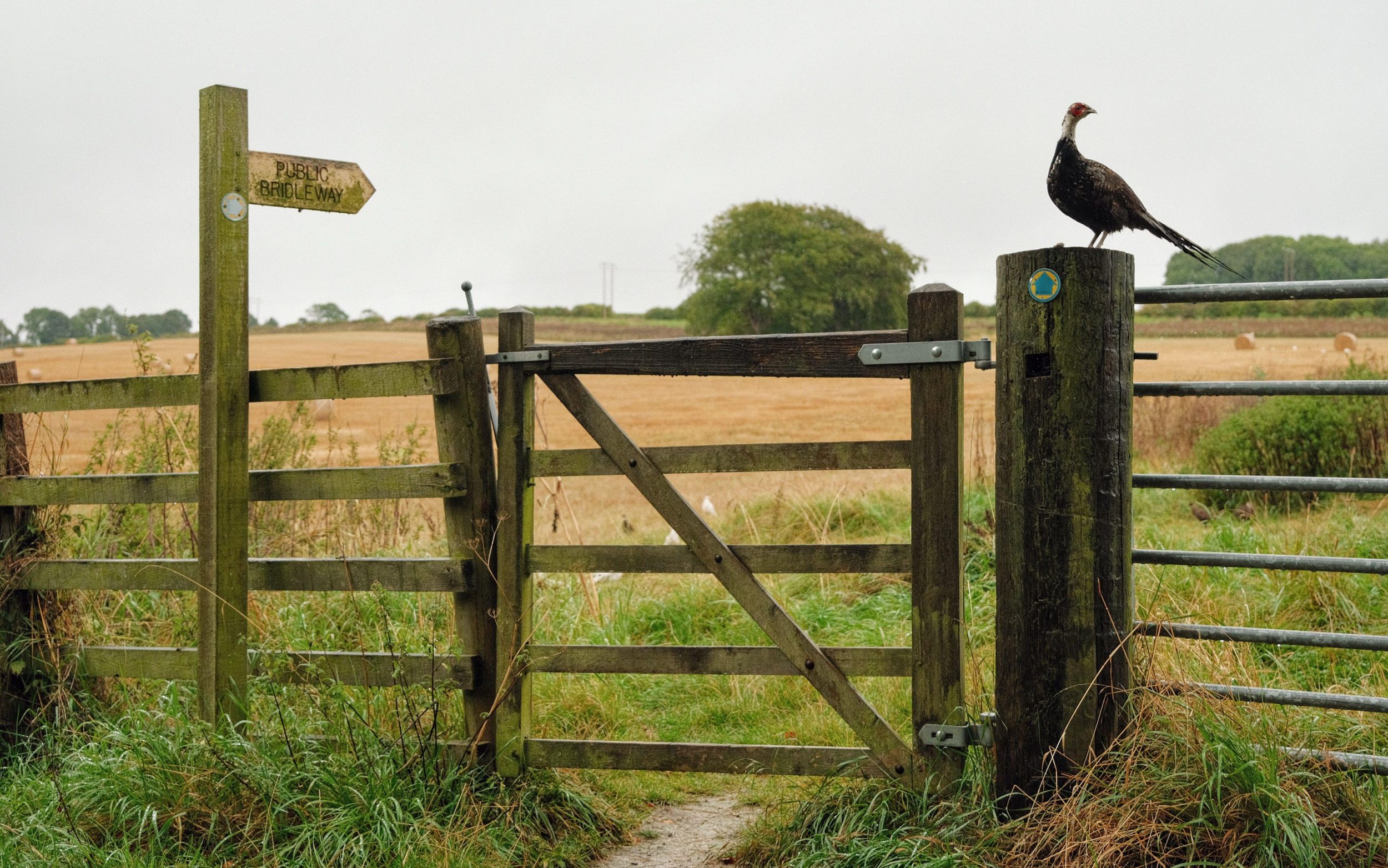 Yorkshire walks