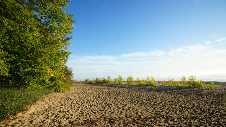 A view of the sandy beach in Lakeport State Park on a bright day in St. Clair County, MI