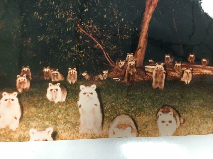 Proof In Pictures: 48 Moments Nobody Would Have Believed