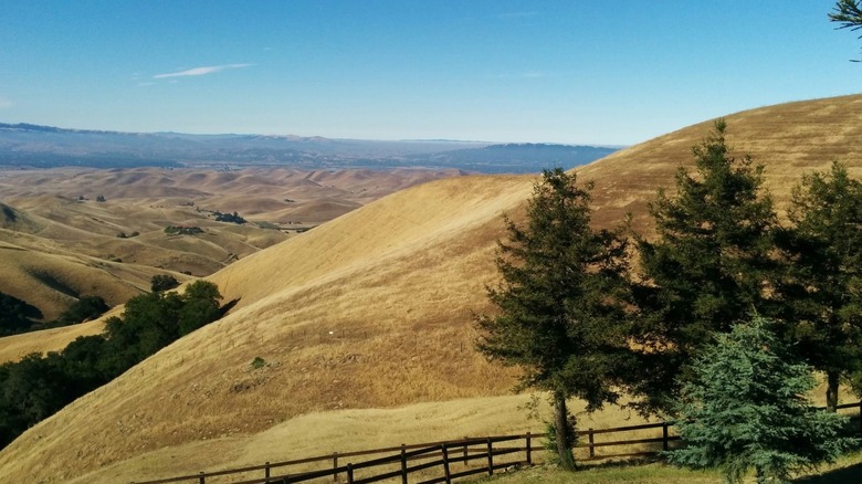 Golden grassy hills on a sunny day at Los Vaqueros Reservoir.
