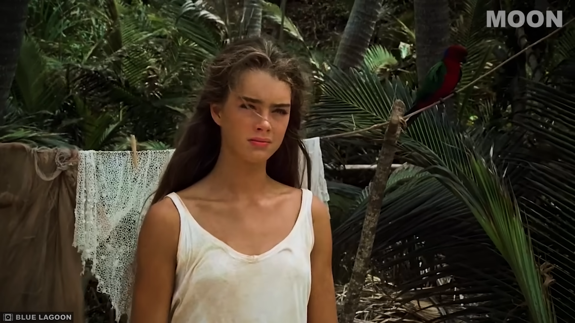 Brooke Shields breaks her silence after 40 years