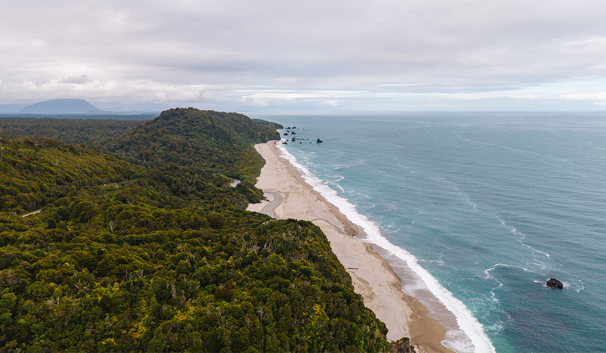 Powerful earthquake strikes New Zealand as tsunami warning briefly issued
