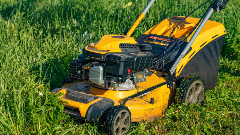 Do You Need To Grease Your Lawn Mower?