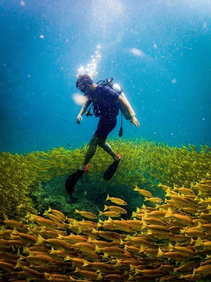 Proof In Pictures: 48 Moments Nobody Would Have Believed