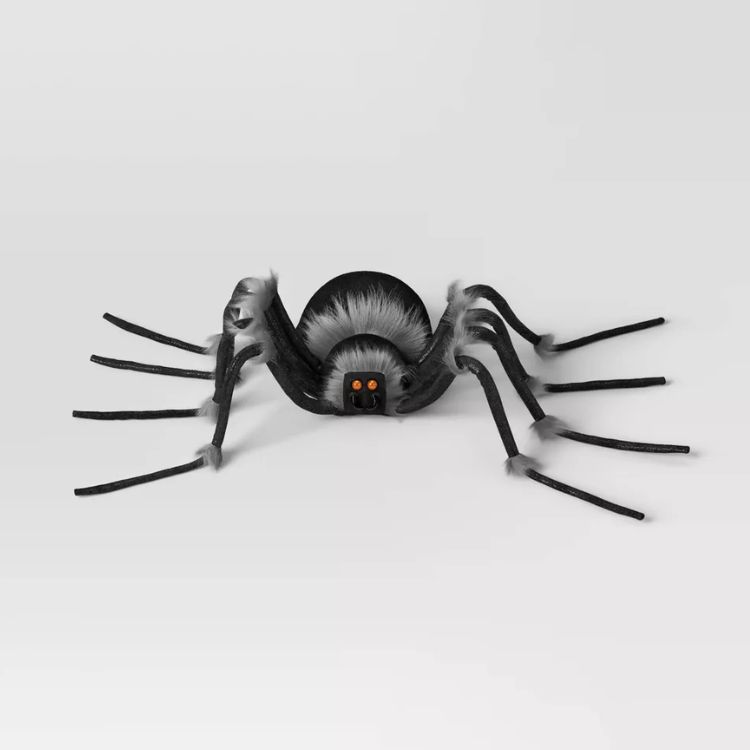6-Foot Spider