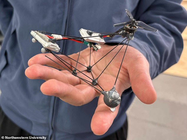 Called the 'Phantom Twist', the drone spins up to 25 times every second, which is too fast for the human eye to see