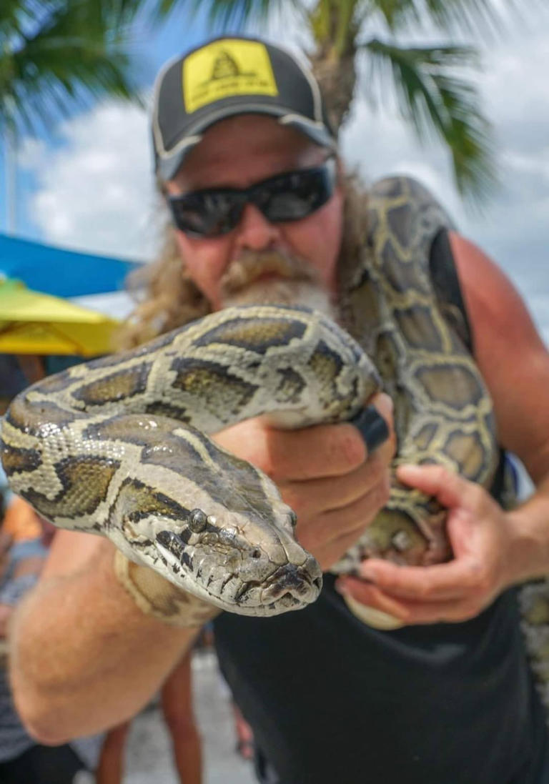 Pizza for pythons: Florida restaurant owner gives away free pies in ...