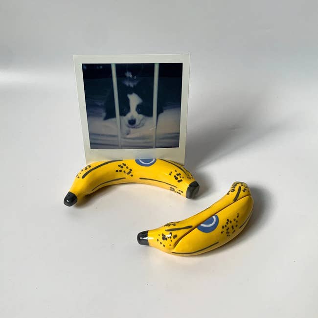 Photo of a dog in a polaroid, held by a banana-shaped photo holder