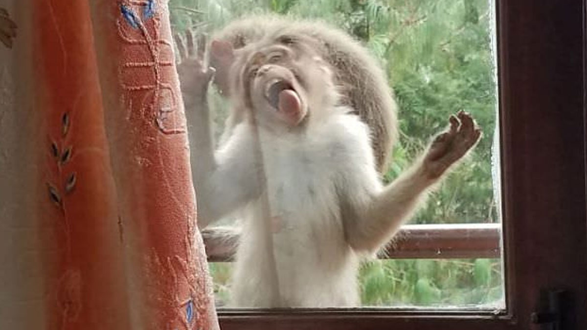 Proof In Pictures: 48 Moments Nobody Would Have Believed