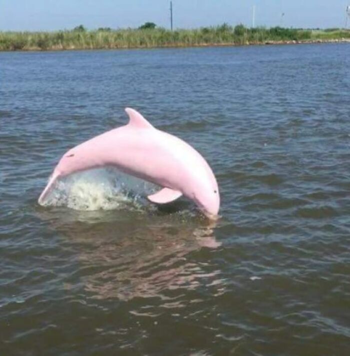 Proof In Pictures: 48 Moments Nobody Would Have Believed