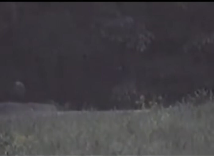 22 Strange Ghost Videos That Continue To Spark Debate