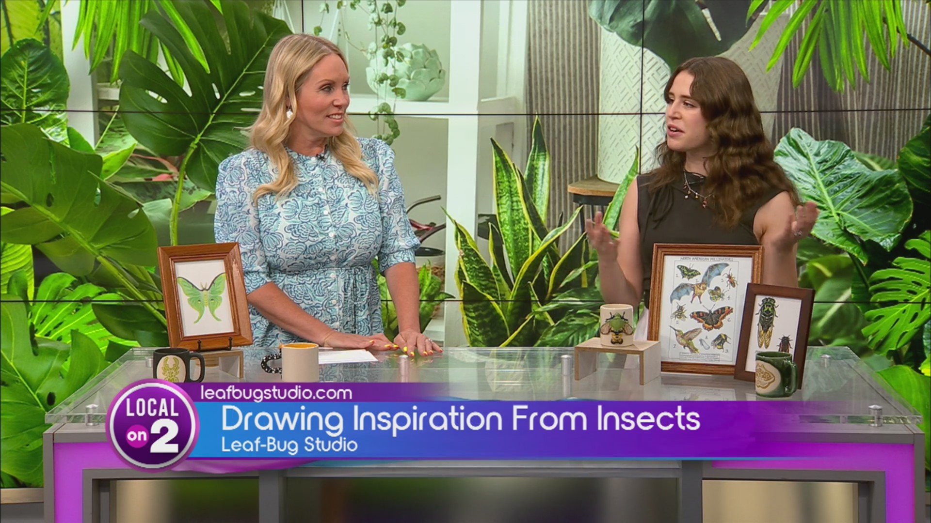 Leaf-Bug Studio