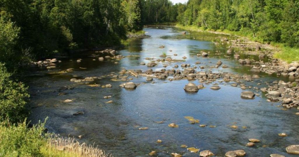 Views of the rocky bed along Big Fork River in MN, with low water levels, surrounded by a heavily wooded area.