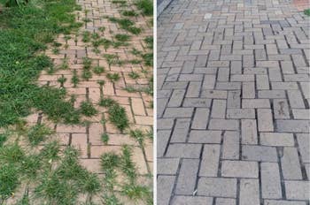 Two side-by-side images of a brick pathway: one with grass growing between the bricks, the other clean and well-maintained