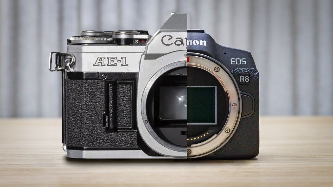 A split image of a Canon AE-1 with a Canon EOS R8