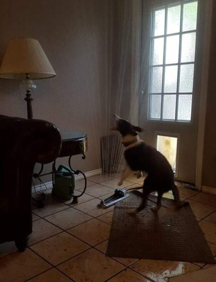 Proof In Pictures: 48 Moments Nobody Would Have Believed