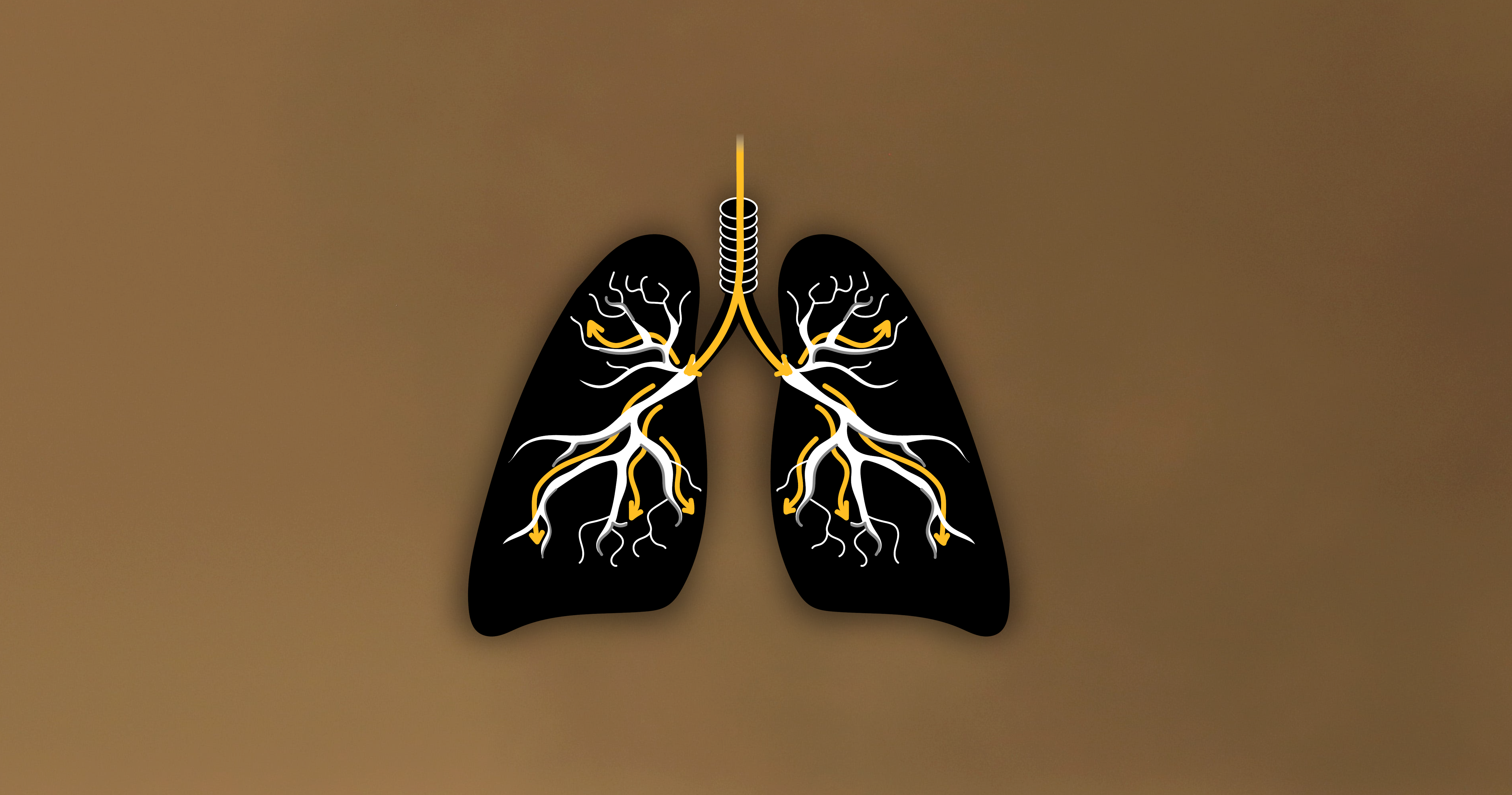 The air quality in the Eastern U.S. is expected to be unhealthy for Americans.