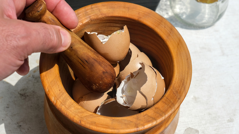 Save your eggshells — these 5 potted plants will thank you