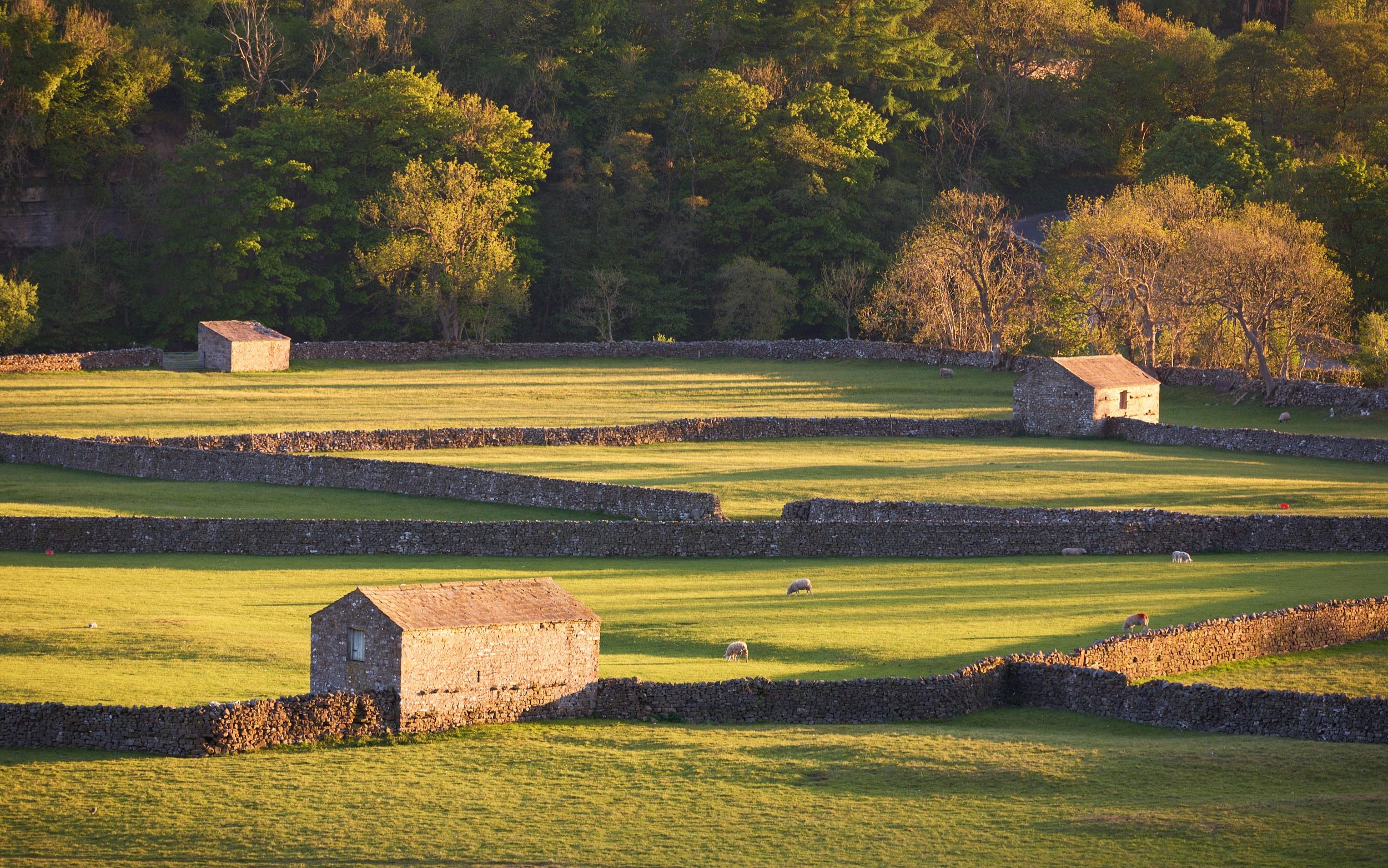 UK, Yorkshire, Yorkshire Dales National Park, Gunnerside