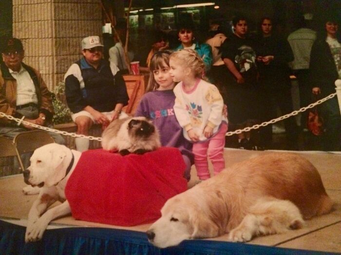 Proof In Pictures: 48 Moments Nobody Would Have Believed