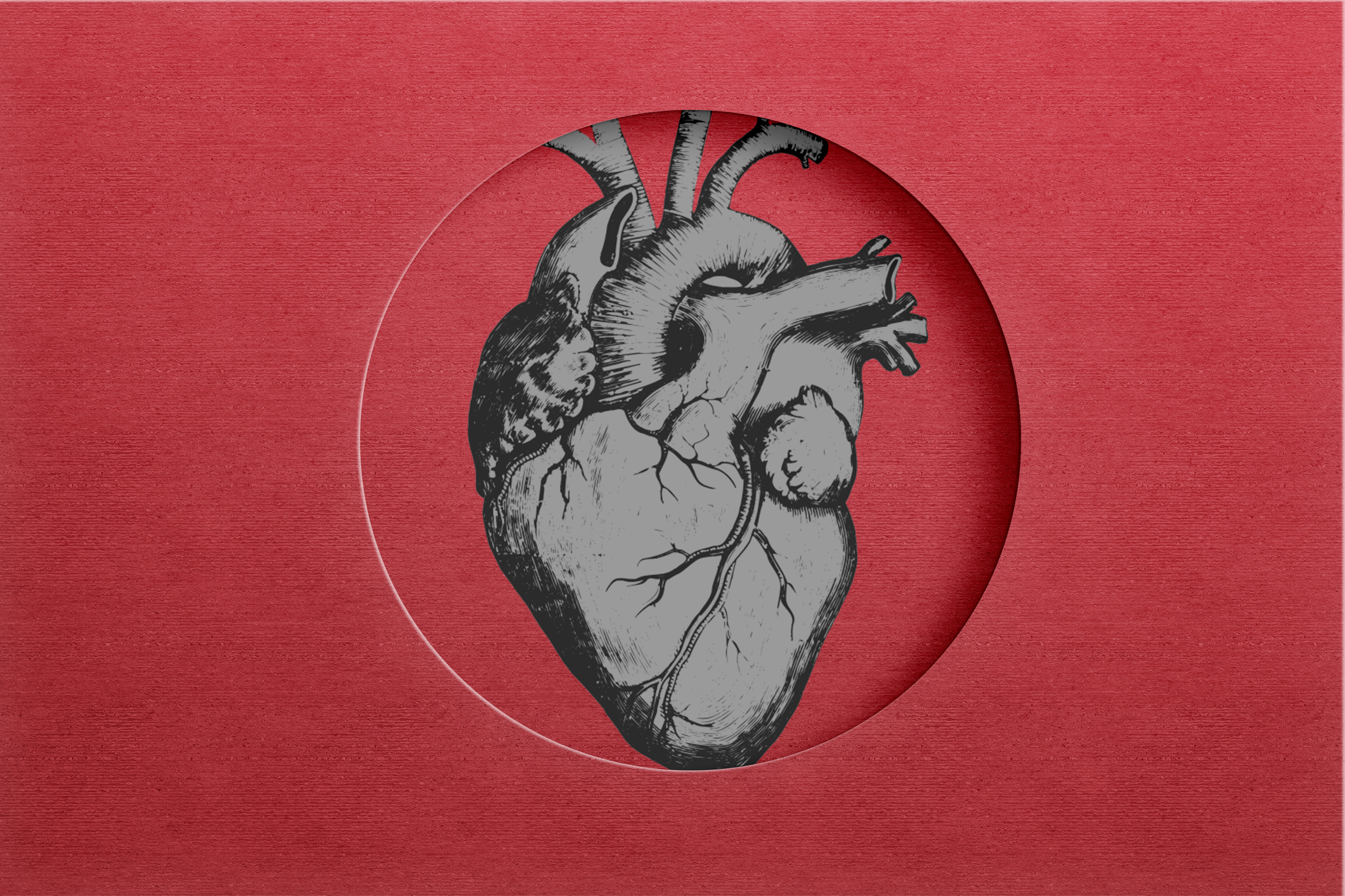 The Emerging Link Between Microplastics and Heart Disease