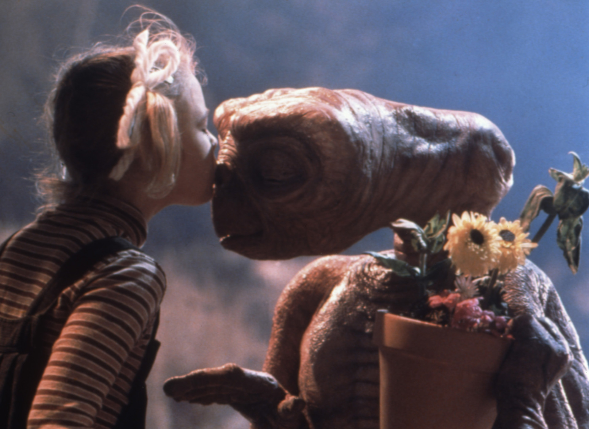 What to do if you see an alien