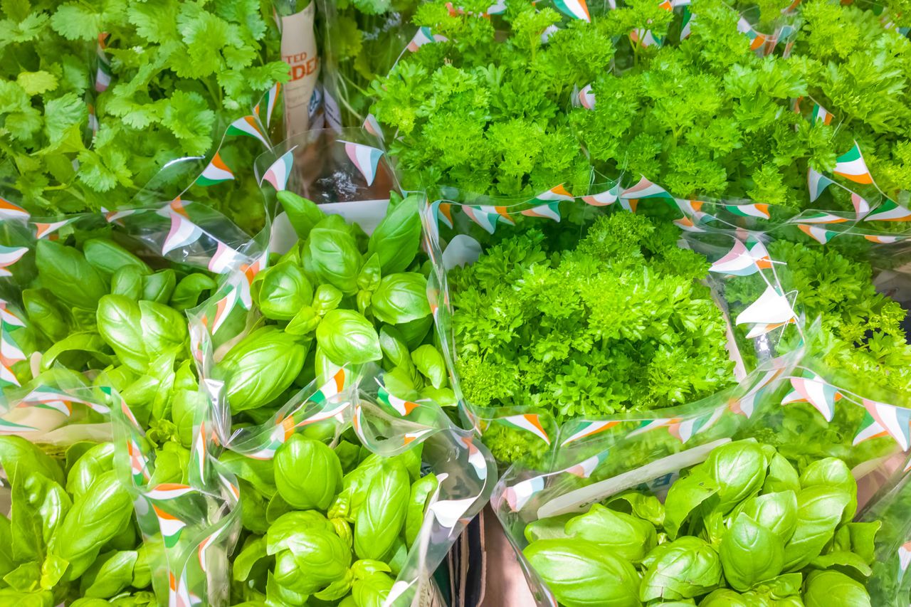 Green herbs - basil in shop