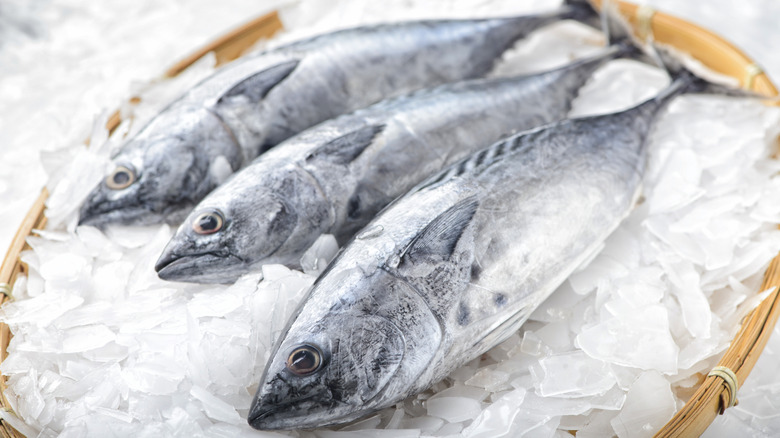 Canned Tuna Vs Fresh Tuna: What's The Nutritional Difference?
