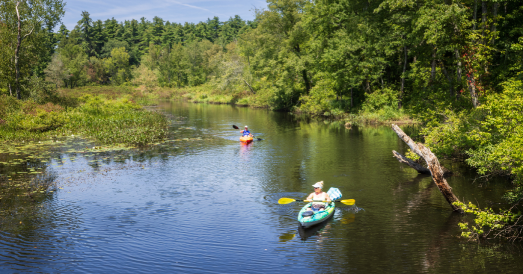 kayakers on the bantam river on a sunny day in litchfield connecticut