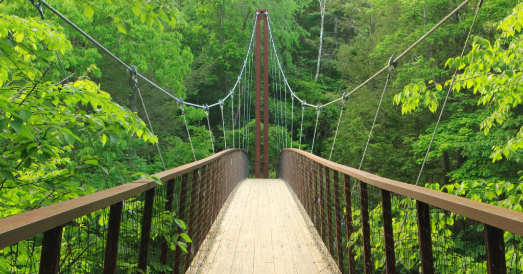 Henry David Thoreau Footbridge in Washington Depot CT