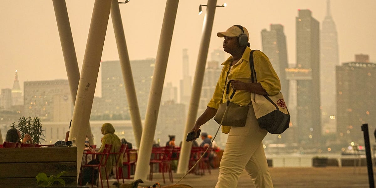 What to Know about Pet Safety and Air Quality
