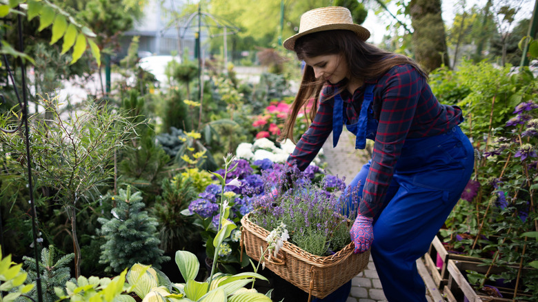 Final Answer: Quick & Durable Garden Beds: Say Goodbye to Concrete Blocks