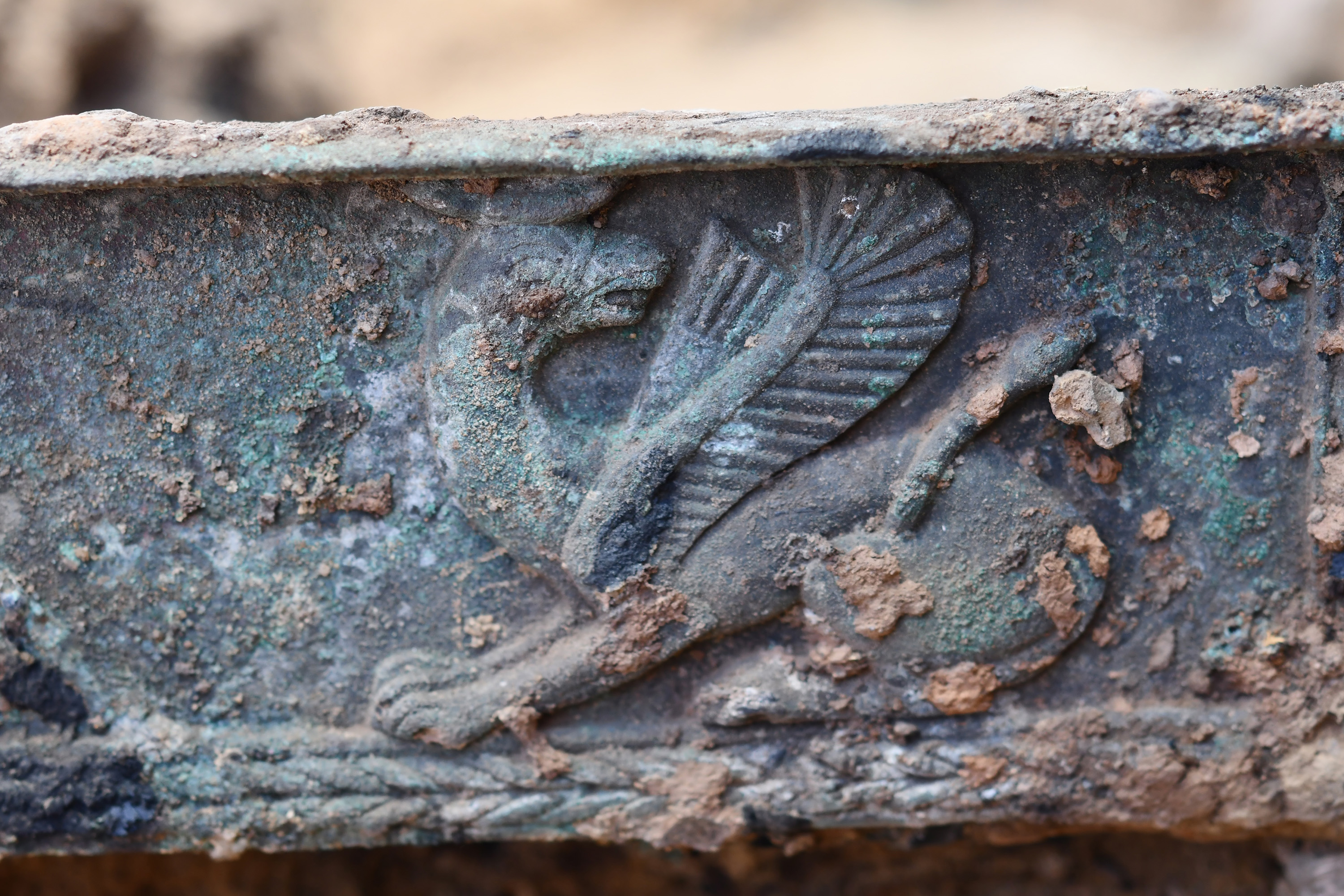 A series of images from an archaeological dig for a bronze chariot