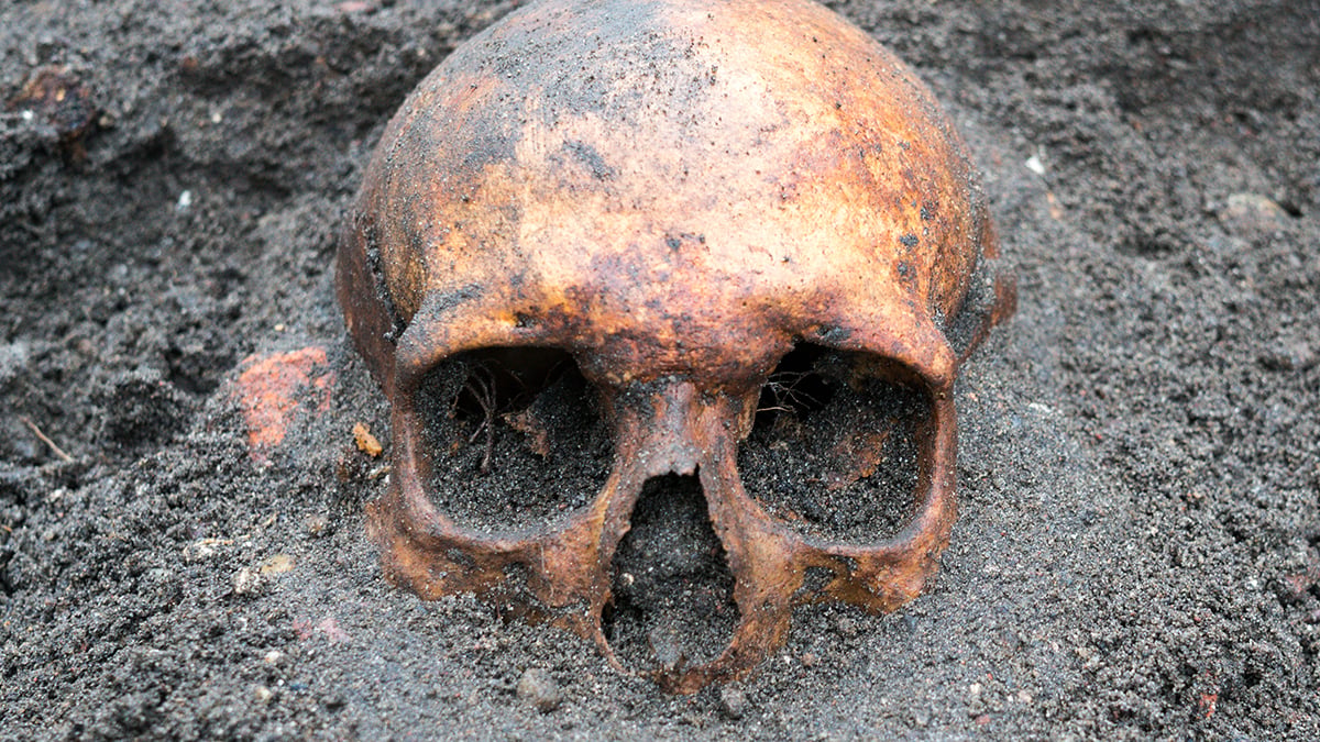 Buried skull