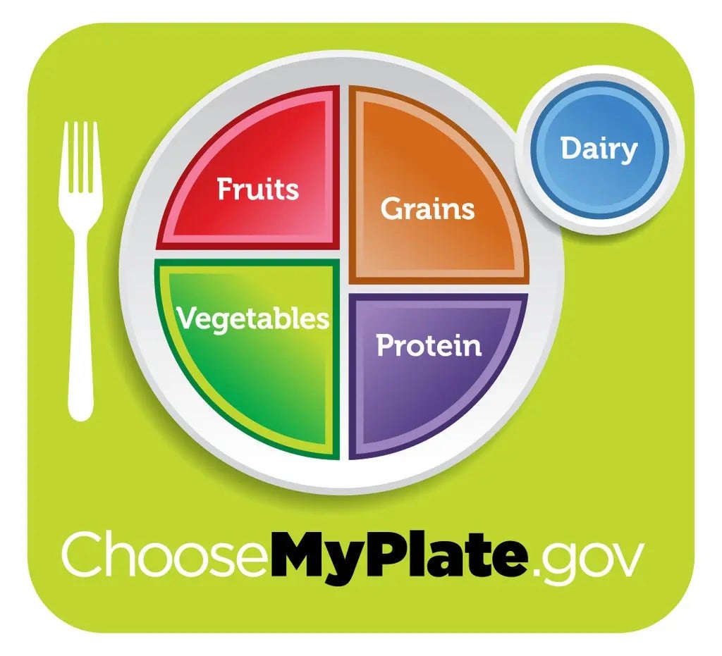 What’s the Point of a Food Pyramid Anyway?