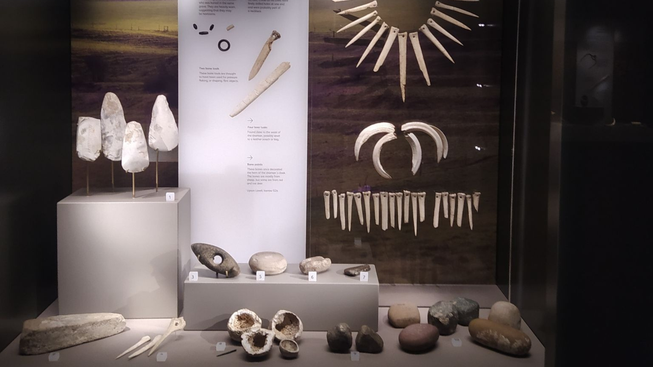 Various stones, bones and tools on display behind glass case.