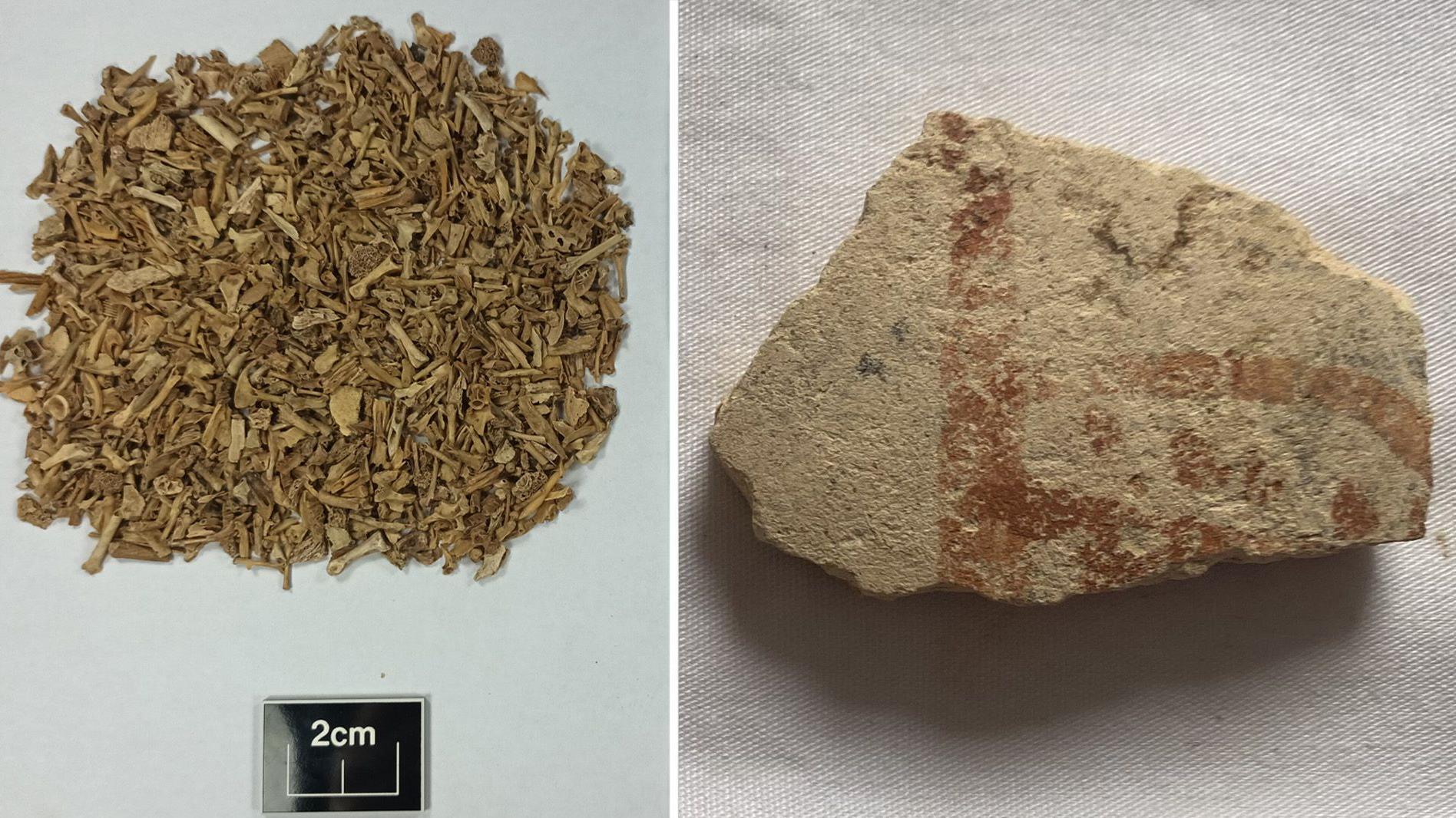 Tiny bones (microfauna) found at the site and pottery from human habitation