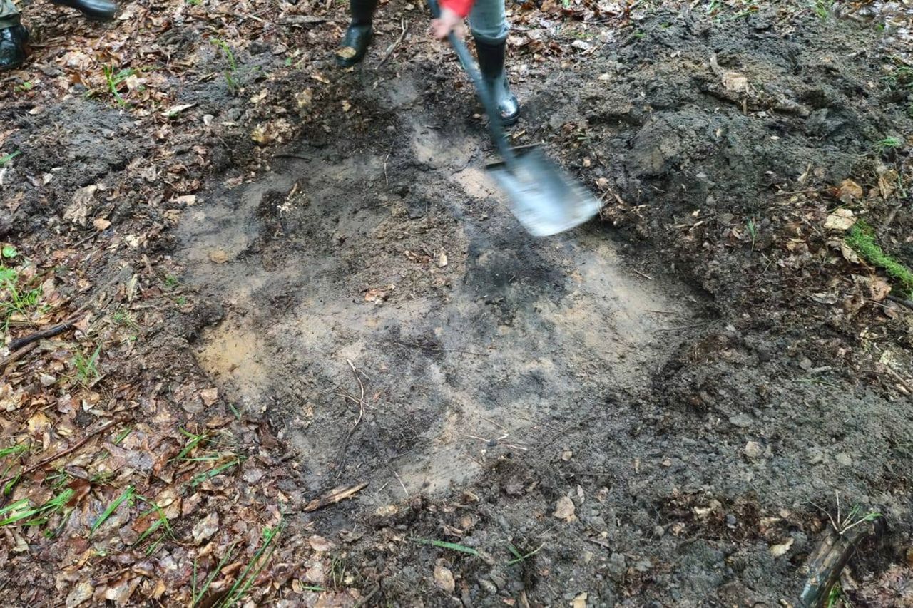 Someone digging in muddy ground in a wooded area using a shovel ground slightly excavated