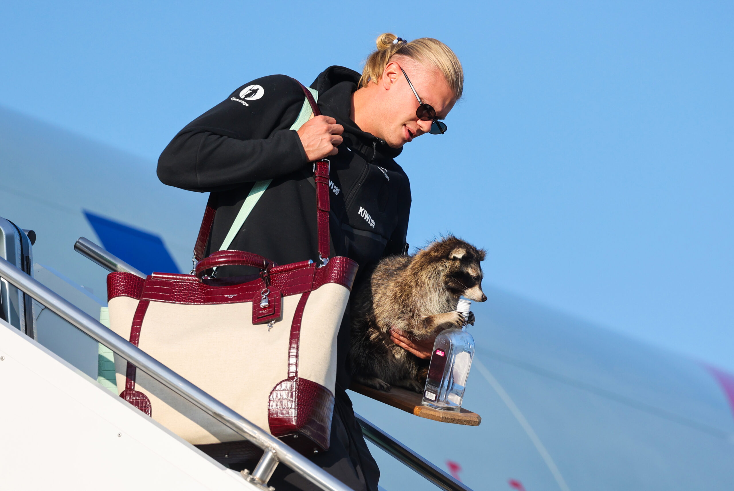 Everyone thinks Erling Haaland’s viral raccoon is holding whiskey. It’s ...