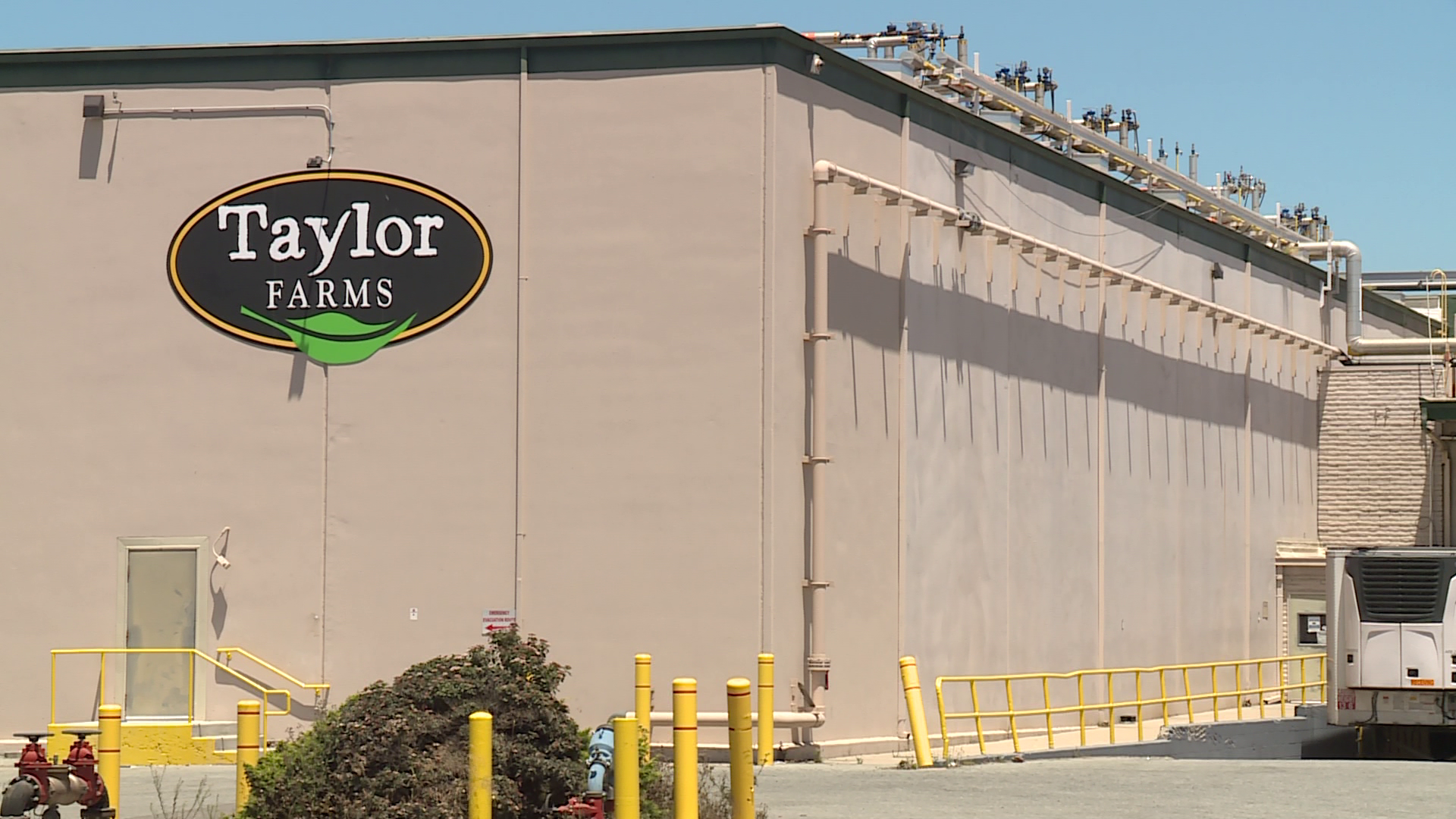 Taylor Farms pulls central Mexico iceberg lettuce amid Cyclospora ...
