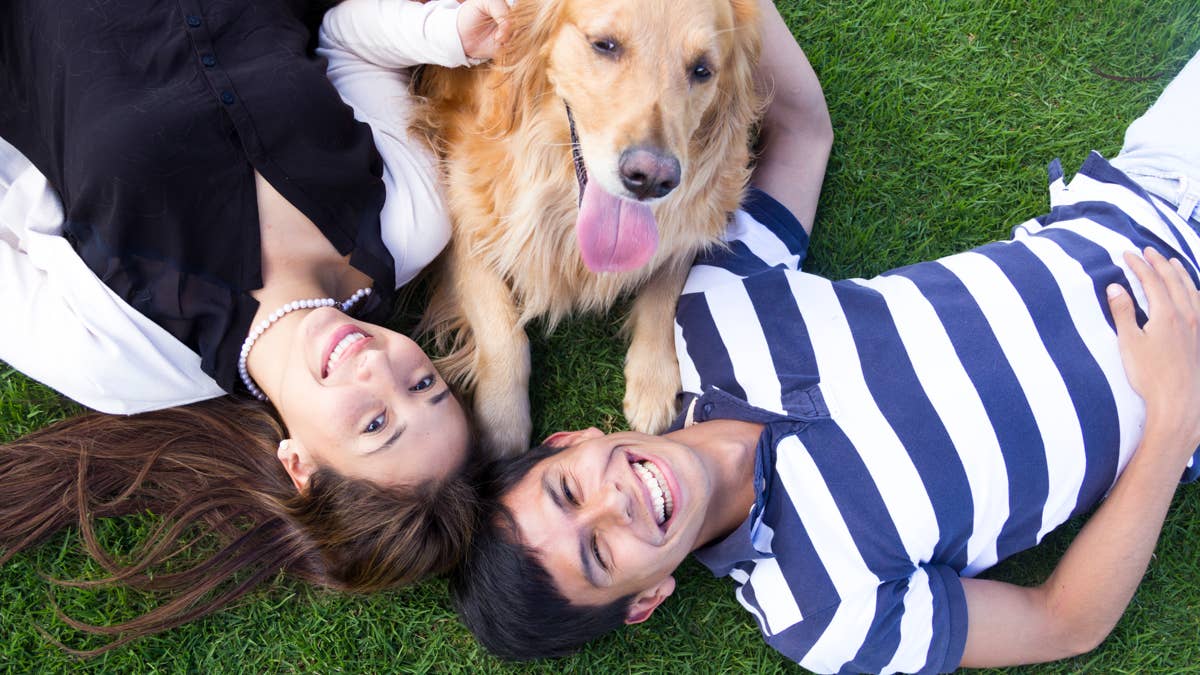 Outgoing Golden Retriever Keeps Ditching Mom for New Friends and Fans Can't Stop Laughing