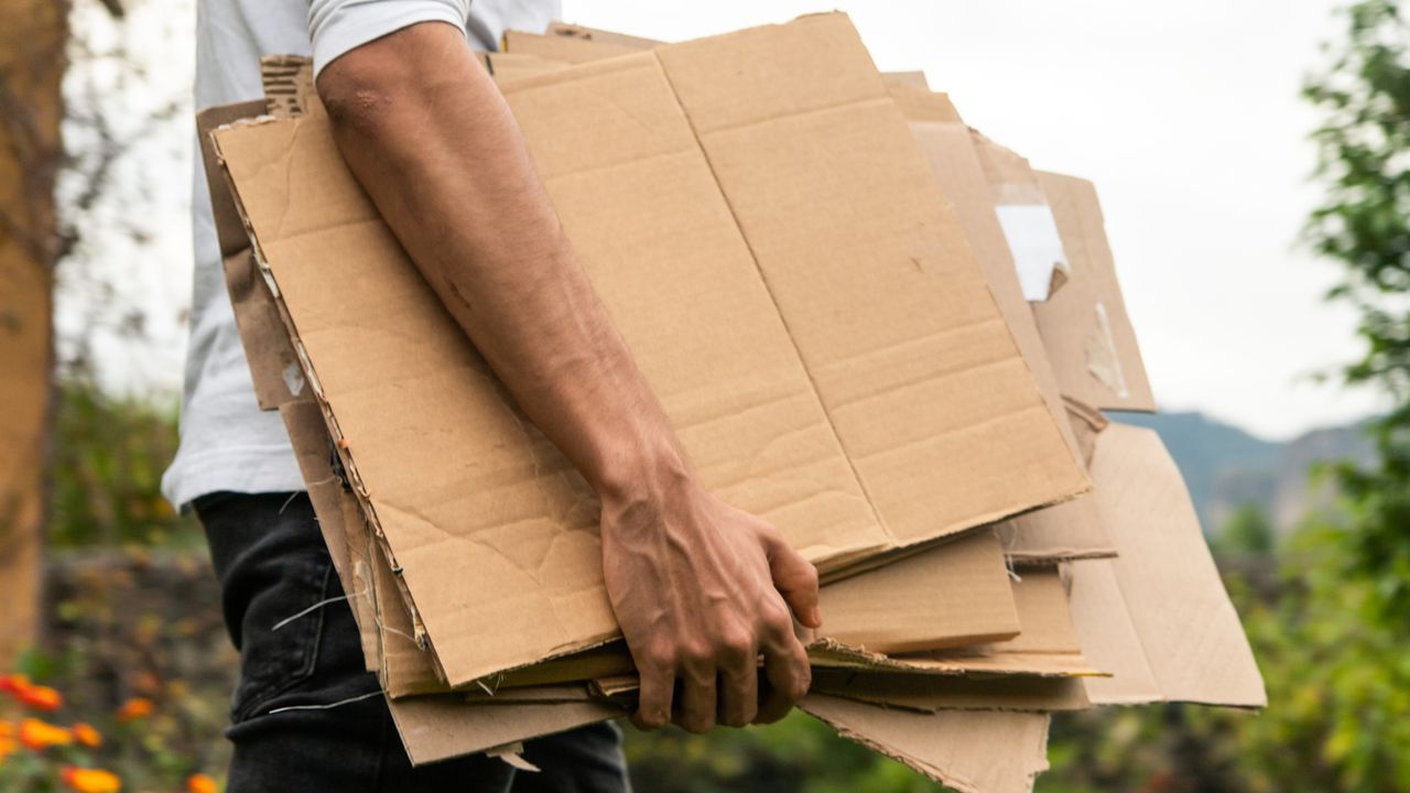 I always save old cardboard boxes to use in my garden – 4 ways to turn trash into your secret weapon