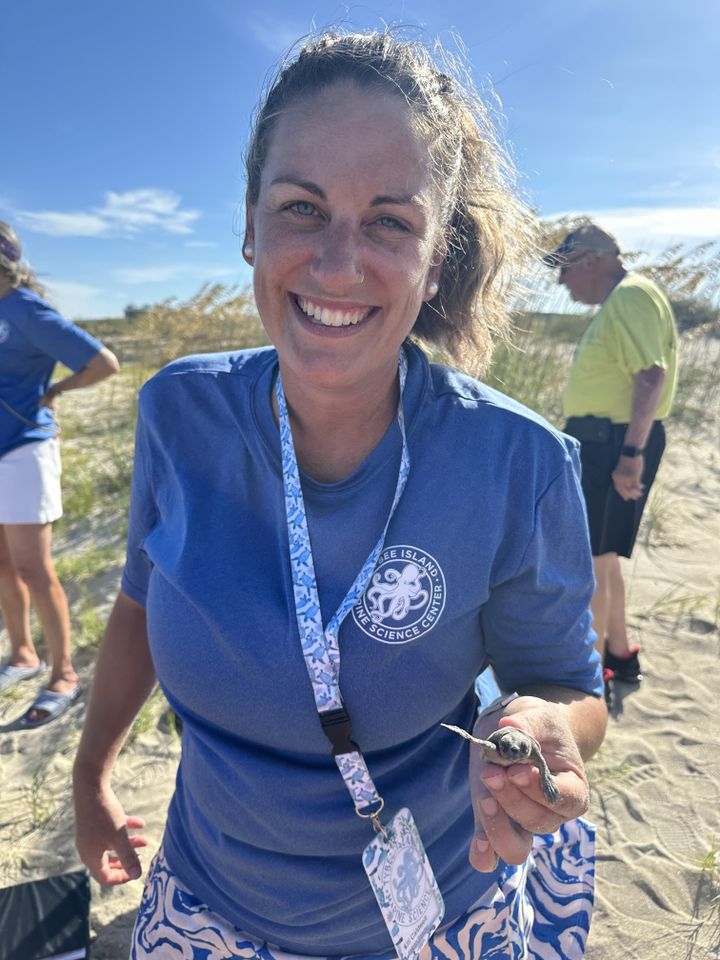 Alli Williford sea turtle