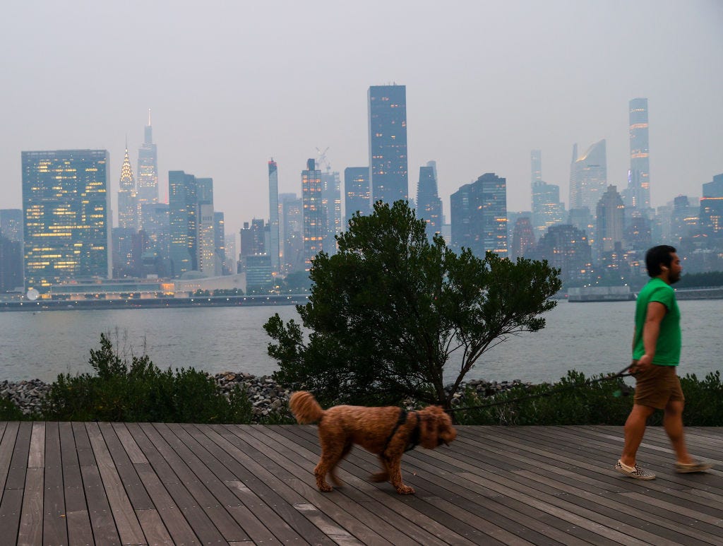 person-walking-dog-air-quality.jpg