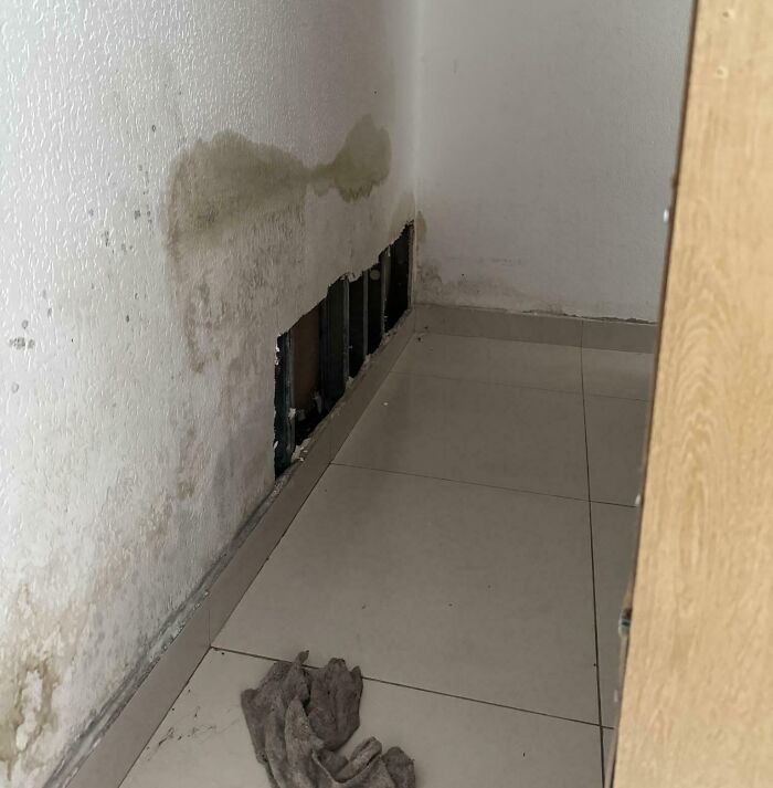 44 Landlord Specials That Show How Bad Repairs Can Get