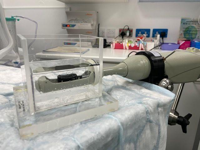There are calls to make focal therapy more widely available