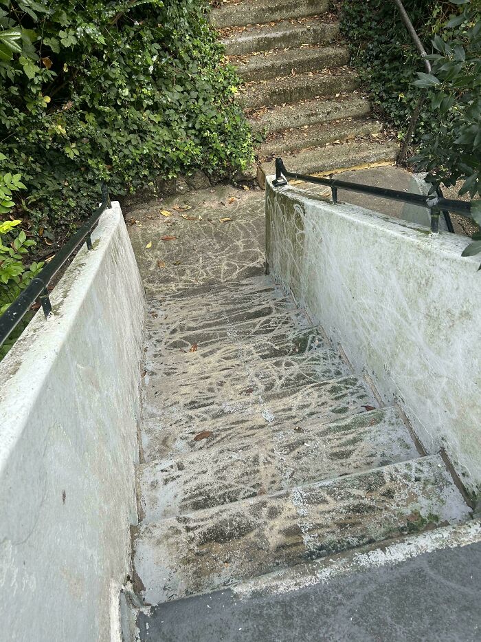 44 Landlord Specials That Show How Bad Repairs Can Get