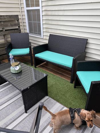 Patio with wicker furniture, teal cushions, a glass table with a candle, and a small dog in a harness on a striped rug