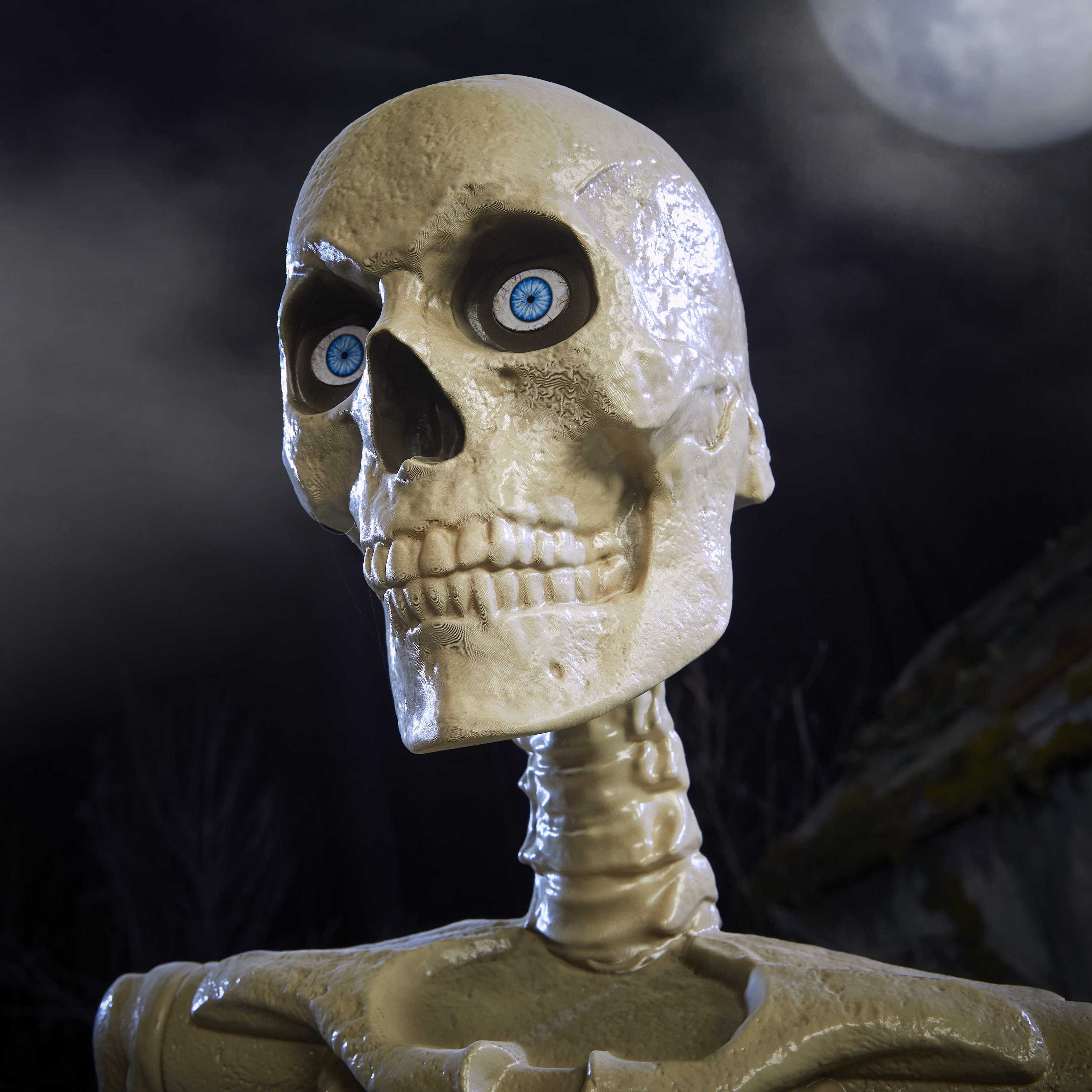 SkellyCloseUp1