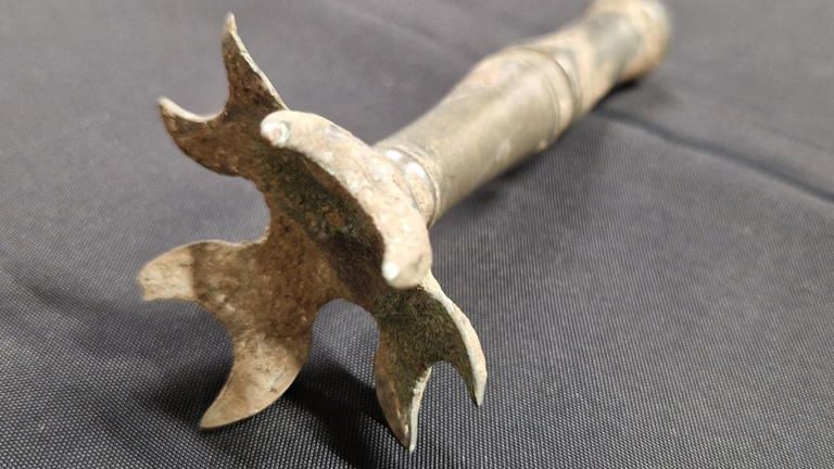 Man finds 'rare' Roman treasures in a field
